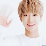 [세븐틴] 음성<b>지원</b>되는 짤털이하자