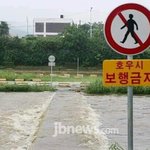 [세븐틴] 우리호시 불쌍해....
