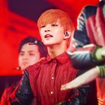 [세븐틴] 나 <b>지수</b>춤이 너무좋아...