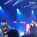 [인피니트] 집콘수니들!!<b>DVD</b>나올듯!!