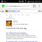 [EXO] 국을링을 해 <b>보아</b>봐따