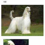 [EXO] 아 <b>시</b>0발 이거모이무ㅜㅜㅜㅋㅋㅋㅋㅋㅋ