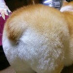 조카 상콤하고 프리티한 걸그룹이름 <b>작명</b>좀