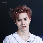 [EXO] <b>배사</b> 추반좀