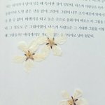 [설레임] <b>올봄</b>에 책속에 넣어뒀던 꽃 발견!!