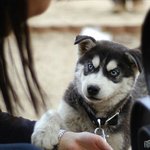 난 적극적이고 상남자<b>st</b>