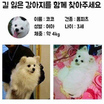 [꼭조언부탁] 도움을 <b>요청</b> 합니다.