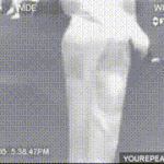 몽환적인곡들 추천해주러왔소