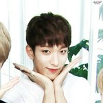 [세븐틴] 도겨미 <b>동물</b>