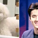 [EXO] 오세훈이랑 결혼하고 싶다