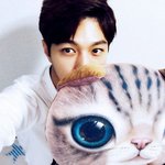[인피니트] ㅅㅍ?호원이 과질
