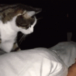 <b>민자</b> 잘자