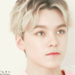 [세븐틴] ㅅㄷ)한솔이 이 짤