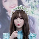 밥파고라 불리는 케이