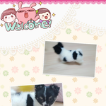 [드루와] 오공이 입니다~