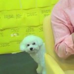 [EXO] 세후나 뭐해...?