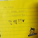 [세븐틴] 난 그래도 절대 못하겠다