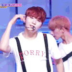 [세븐틴] <b>쿠키</b>런인지 프렌즈런인지 모르겠지만