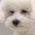 [EXO] 어제 너<b>목보</b> 보던 비비 표정
