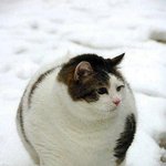 <b>민자</b>야 넌 내꺼야