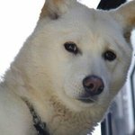 <b>민자</b>야 나 조아?