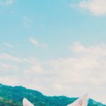 [댓글부탁해] 너넨 친구생일선물 보통언제만나서줘?