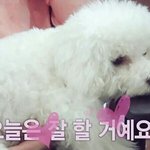 [EXO] 우리 망한<b>인생</b> 개같은 <b>인생</b> 이러지말자