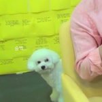 [EXO] 비비는 빵실빵실한 볼과 꾹 다문 <b>입매</b>가 포인트지