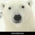 [댓글부탁해] 썸남생일에 <b>선물</b>로신발<b>추천</b>좀!