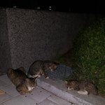 아파트 단지에