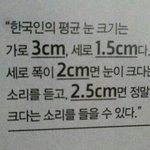 [드루와] 너네 눈 길이 몇<b>센치</b> 나와??