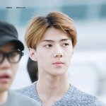 [EXO] 세훈이 비비 챙기는거 보면 젊은 아빠 느낌나