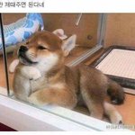 [드루와] 일본이 요즘 하락세인 이유가 뭐냐면