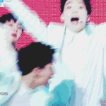 [세븐틴] 우리디노 누구애기?