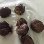 <b>cj</b>유기농맛밤!이게머로보이시나요