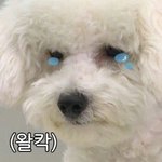 [EXO] 야 나 콘서트갔을때 준면이 진심 <b>눈앞</b>에있었거든?