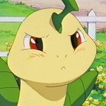 [댓글부탁해] <b>LGBT</b> 친구들 나 궁금한게 있는데