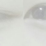 [댓글부탁해] 내<b>눈</b> <b>속</b>쌍이야? 사진있음