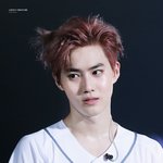 [EXO] 팀져서 빡친 <b>주장</b>