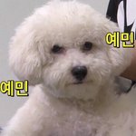 [VIVI] 울나라선수들잘해야<b>하눈</b>데. .