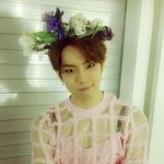 [인피니트] 열<b>언니</b>팬도 있고 쫑<b>언니</b> 팬도 있으면