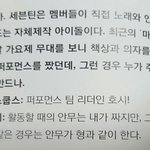 [세븐틴] <b>에고</b>.. 찌통