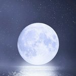 솔직히 아이돌 부럽더라