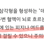 [조언부탁] 얘들아 너네 이거 봤어????