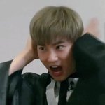 [EXO] 하와이가서 저거입어라
