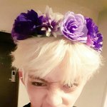 [세븐틴] 생일<b>축하</b>해 승처라