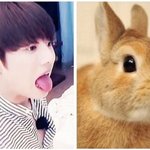 [방탄소년단] 혀 내미는 토끼 꾸꾸