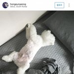[EXO] 비비라고 올린사진도 <b>도용</b>임