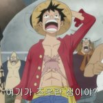 얘는 <b>붕대</b>붕대열매냐