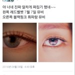 레드벨벳팬들아 ㅋㅋㅋㅋ이래도 <b>표절</b> ?